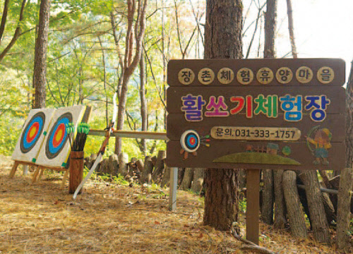 숲 속 활쏘기 체험장