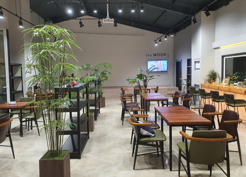 묵3카페 실내 좌석과 식물 공간